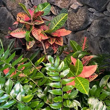 Charming House In Holiday home