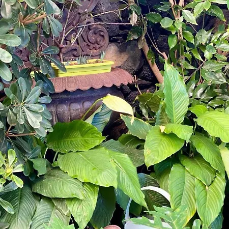 Prázdninový dům Charming House In Santa Úrsula